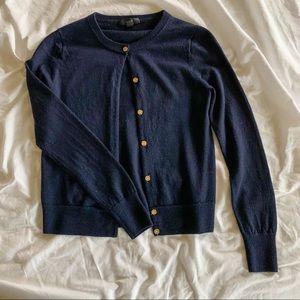 J CREW | merino wool button down cardigan